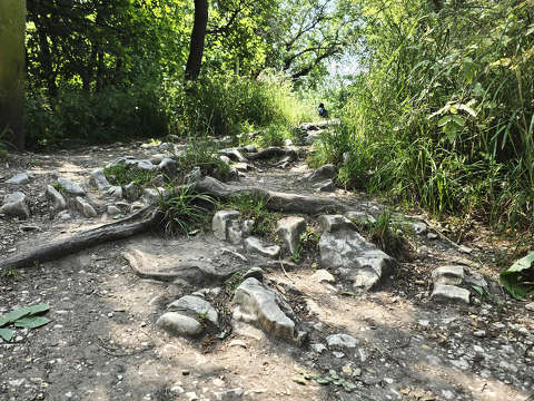 Kövek, sziklák, erdei út