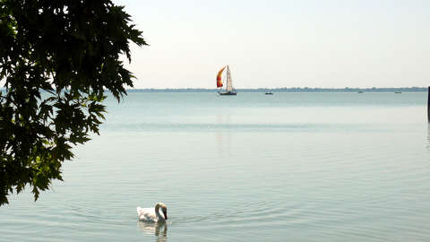Balatongyörök, vitorlás, hattyú