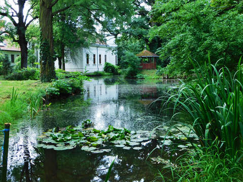 Szombathelyi botanikus kert, Kámoni arborétum