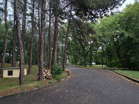 Balatonfűzfő