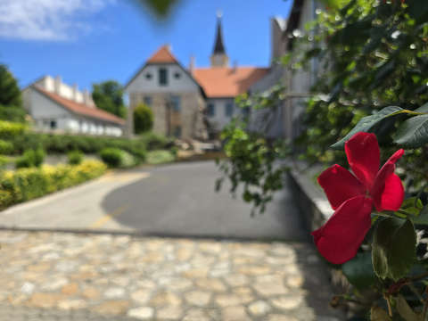 Török udvar, Székesfehérvár