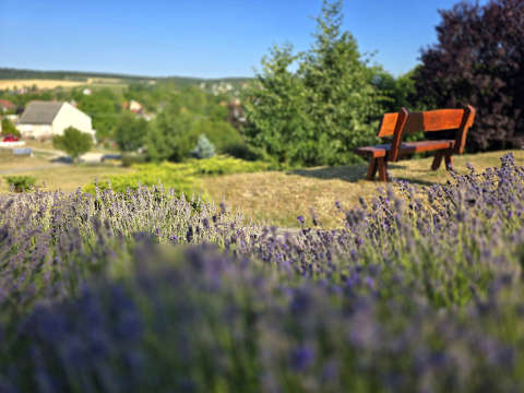 Litéri domb