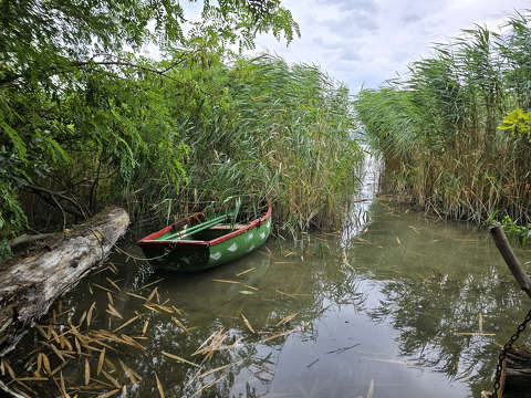 Csendélet - Balatonfűzfő