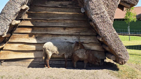 Dinnyés, Skanzen, racka juh