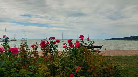 Balatonalmádi, Szent Erzsébet liget