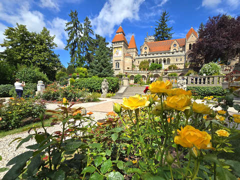 Székesfehérvár, Bory vár