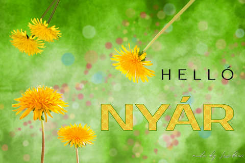 grafika, nyár