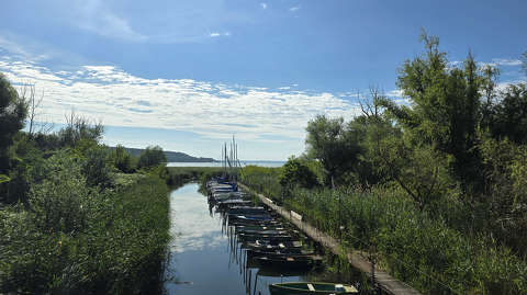 Balatonfűzfő, kikötő