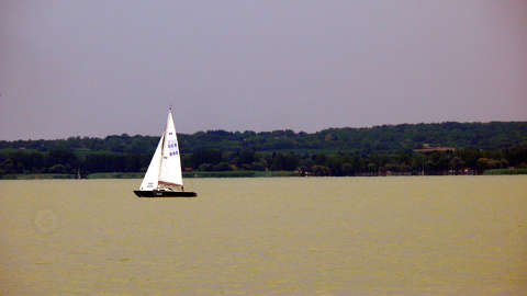 Vitorlás, Balaton