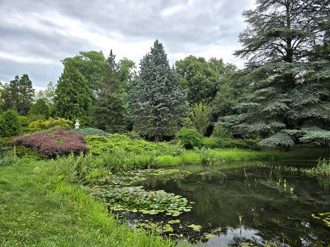 Szombathely, Kámoni arborétum