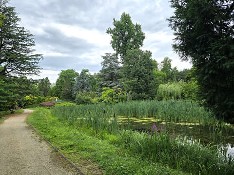 Szombathely, Kámoni arborétum