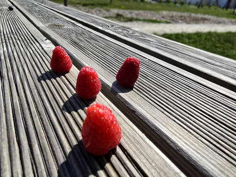 Málna