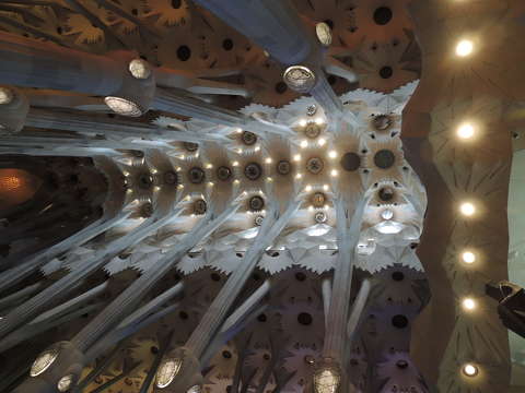 Sagrada Familia mennyezete,Spanyolország