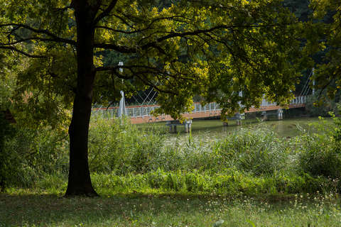 Deseda arborétum