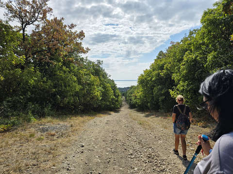 Erdei út, Balaton
