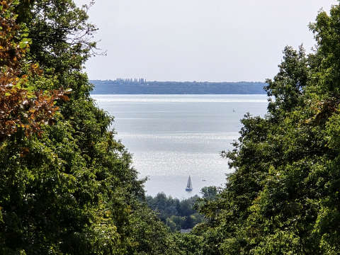 Balaton a fűzfői erdőből