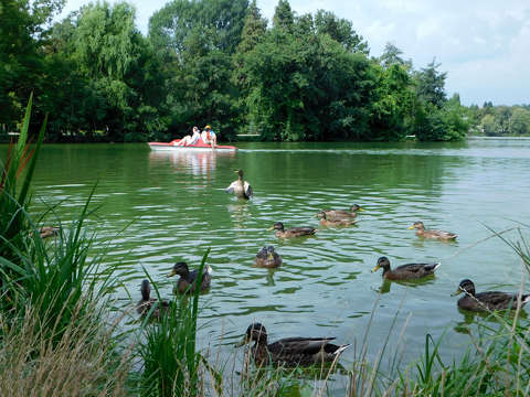 Csónakázó tó - Szombathely