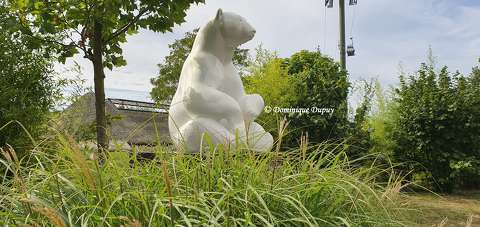 Ours blanc - Zoo de Beauval