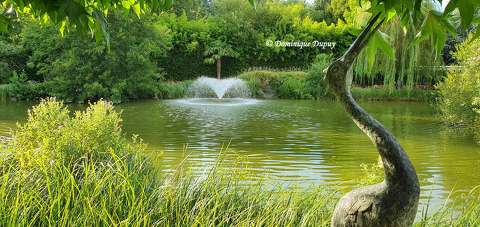 Les Jardins de Beauval