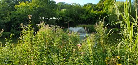 Jardins de Beauval