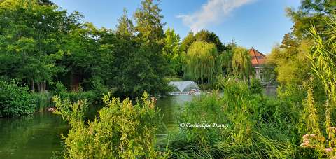 Jardins de Beauval