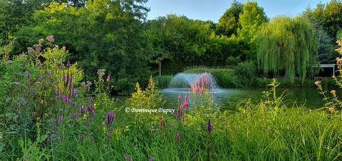 Jardins de Beauval