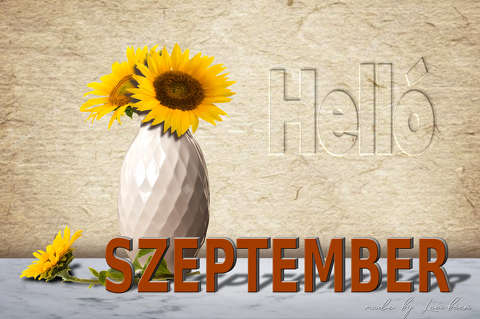 szeptember, grafika
