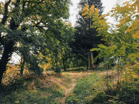 Ősz, Zala-megye