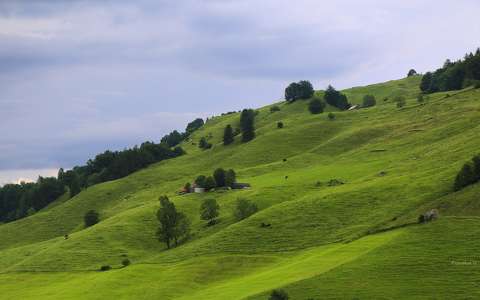 Schwende-Rüte, Svajc