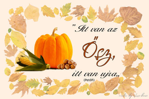 ősz, grafika