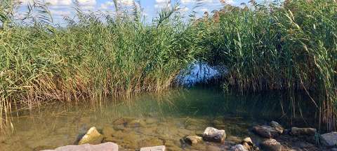 Balatonalmádi.