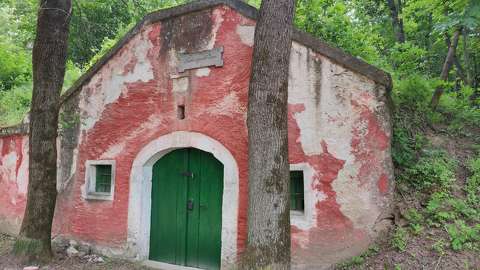 Páty, pincesor