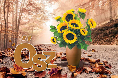 montázs, ősz