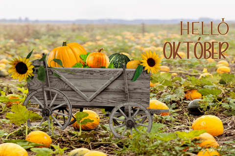 október, grafika