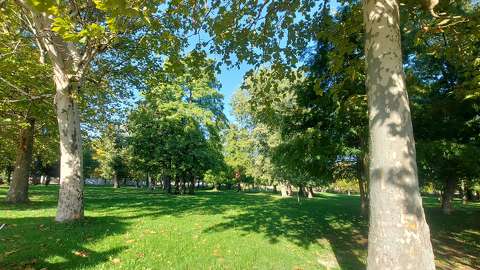 Balatonalmádi Öreg -Park