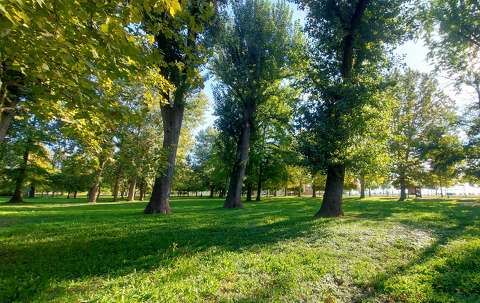 Balatonalmádi Öreg -Park
