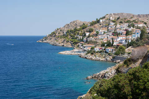 Hydra