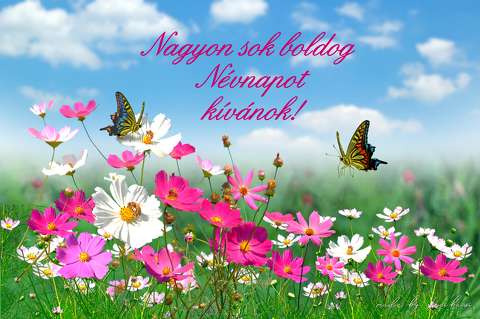 névnapra, grafika