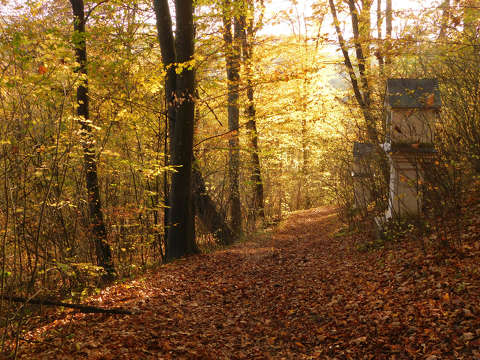 Bakonybél, kálvária, ősz