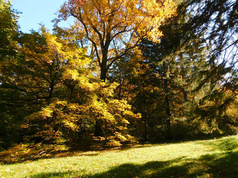 Zirci Ciszterci Apátság Arborétum, ősz