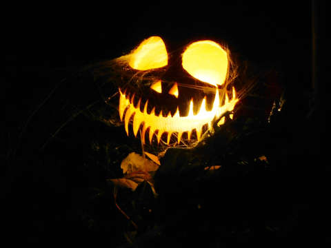 Halloween dekoráció
