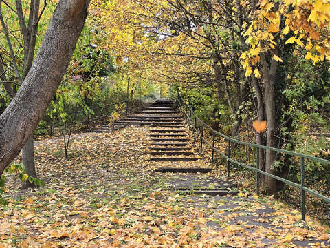 Hulló falevelek - Balatonfűzfő
