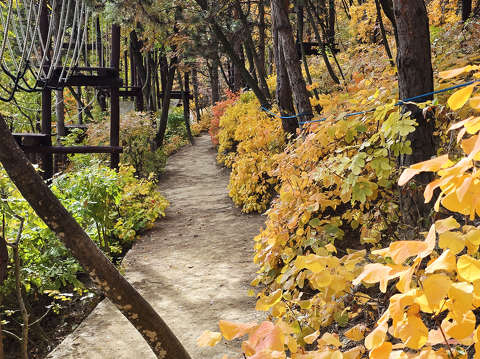 Balatonfűzfő, őszi út