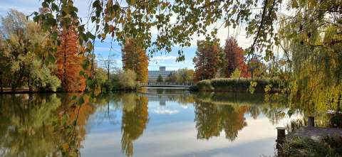 Szombathely - Csónalkázó-tó, ősz, tükröződés
