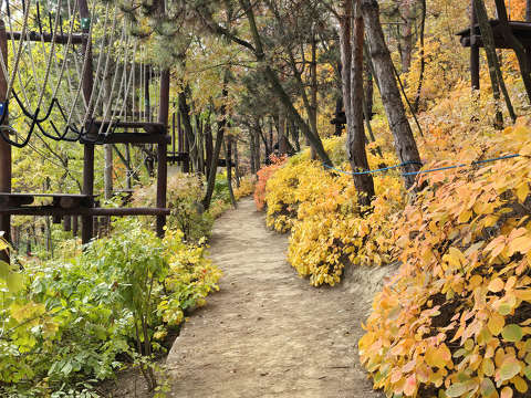 Balatonfűzfő, ősz, út
