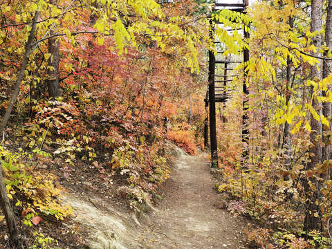 Balatonfűzfő, ősz, út
