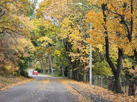 Balatonfűzfő, ősz, út