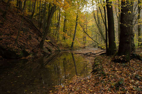 Punkva folyó, Morva karsztvidék, Csehország