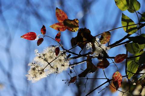 ŐSZI SZÍNKAVALKÁD