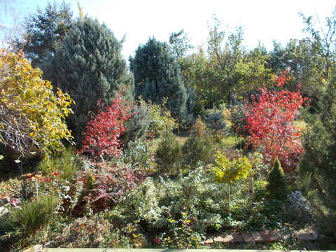 kertek és parkok ősz